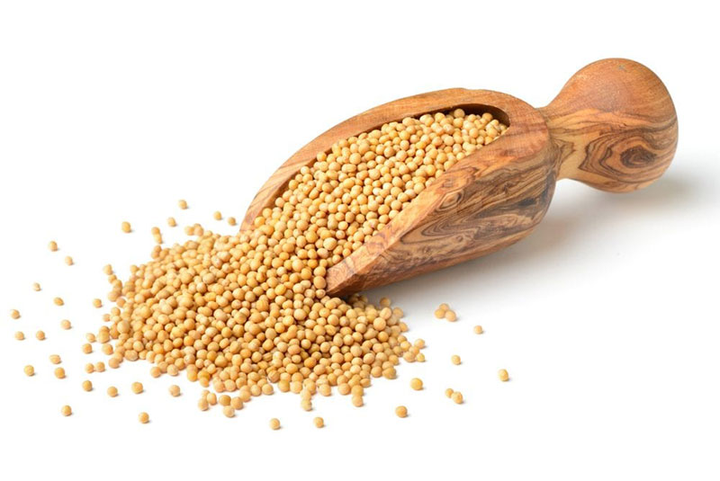 Gorčična semena: skromna rastlina ali superhrana