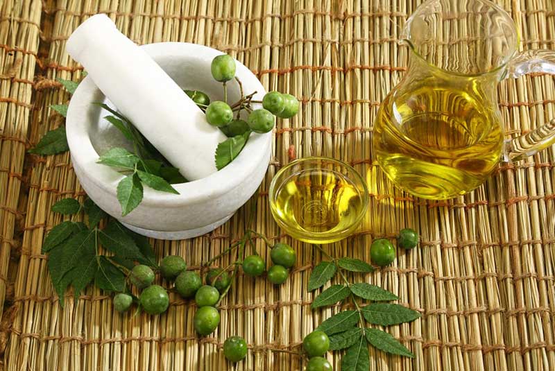 Neem - drevo, ki zdravi 40 bolezni