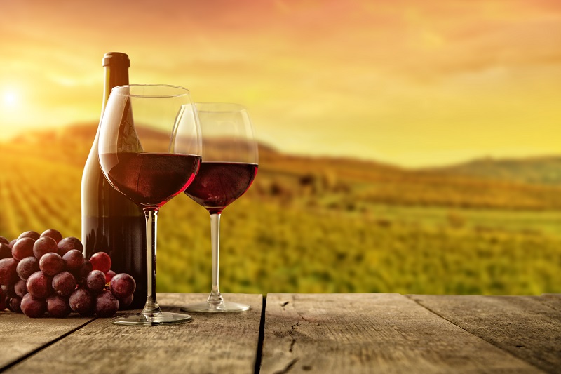 Resveratrol upočasnjuje staranje