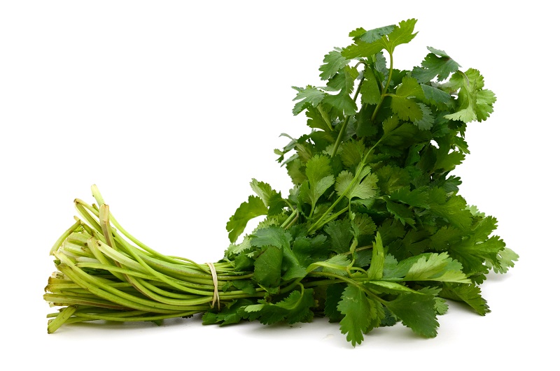 S koriandrom nad težke kovine